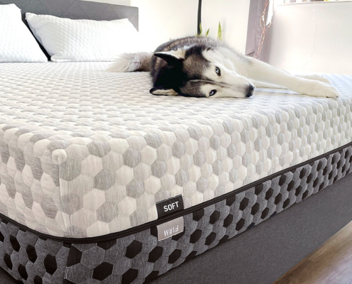 Understanding the Major Differences Between Mattress Types